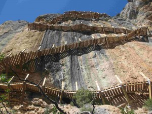 excursiones ager montfalco