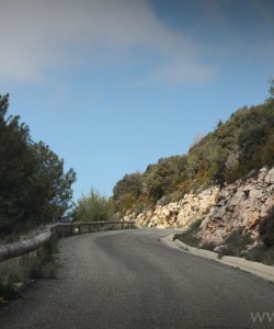 ruta ruta
